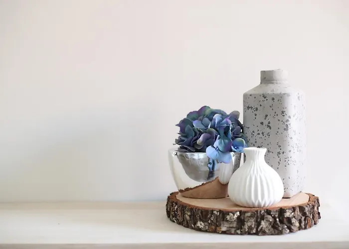 San Vicente Apartamento